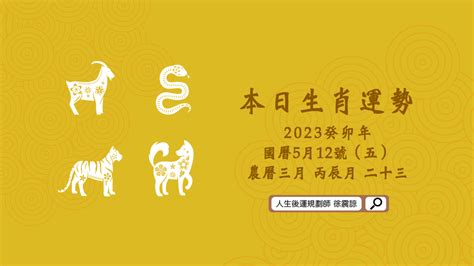 豬2023運勢|2023年12生肖運勢大全——生肖豬